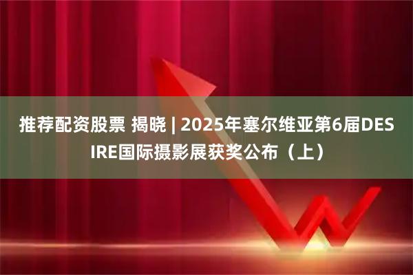 推荐配资股票 揭晓 | 2025年塞尔维亚第6届DESIRE国际摄影展获奖公布（上）