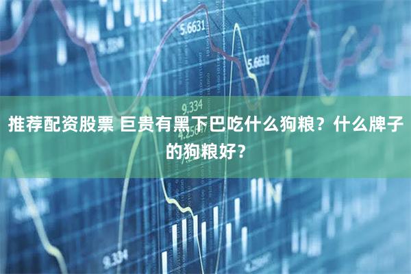 推荐配资股票 巨贵有黑下巴吃什么狗粮？什么牌子的狗粮好？