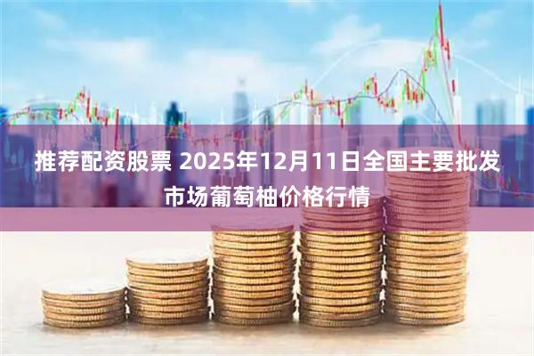 推荐配资股票 2025年12月11日全国主要批发市场葡萄柚价格行情