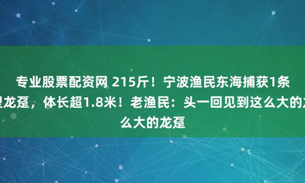 专业股票配资网 215斤！宁波渔民东海捕获1条巨型龙趸，体长超1.8米！老渔民：头一回见到这么大的龙趸